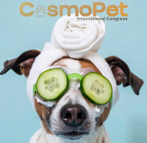 CosmoPet, International Congress